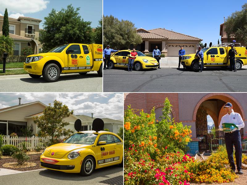 Truly Nolen Pest & Termite Control