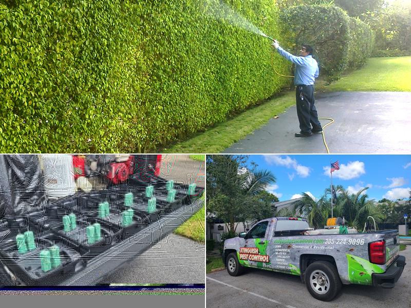 Xtinguish Pest Control