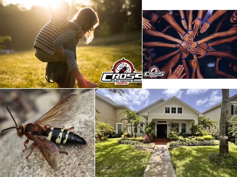 Cross Pest Control of Tampa
