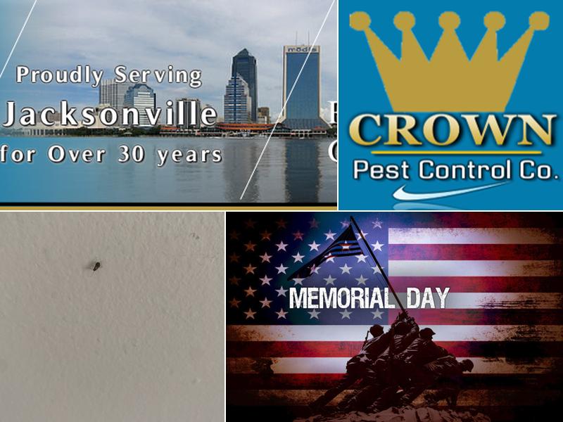 Crown Pest Control