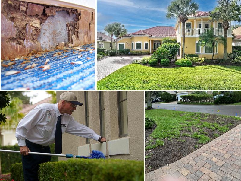 Massey Services Pest Control