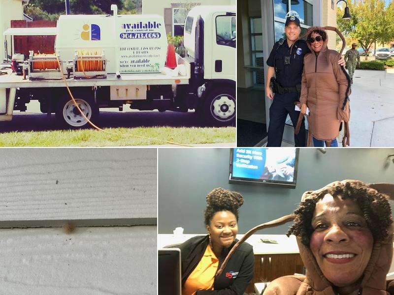 Available Pest Control