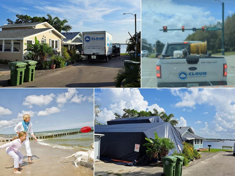 Cloud Termite and Pest Control