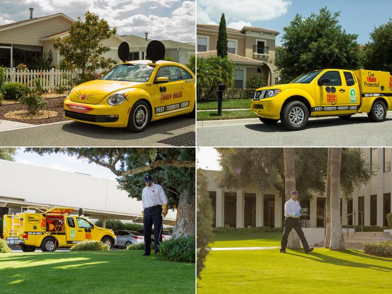 Truly Nolen Pest & Termite Control