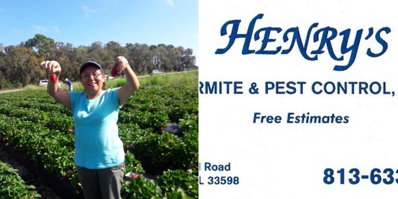 Henry's Termite & Pest Control