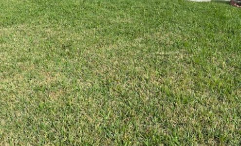 Farrow Pest Services