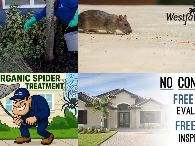 Westfall's Lawn and Pest