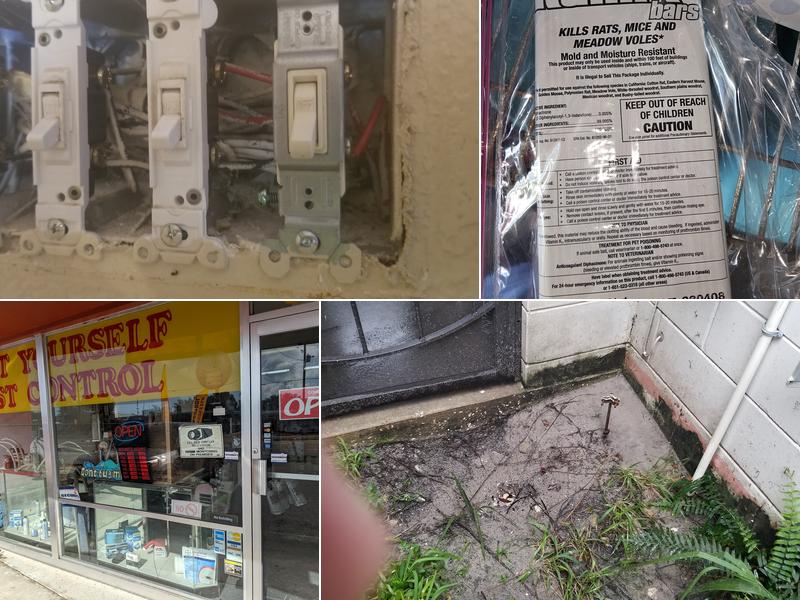 DO It Yourself Pest Control