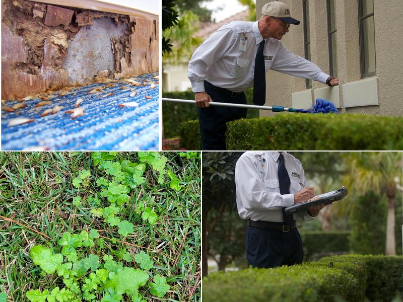 Massey Services Pest Control