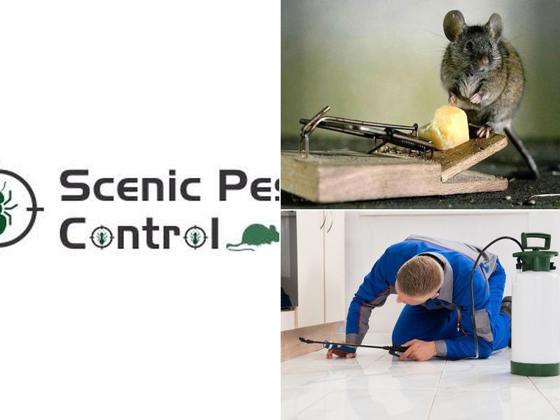 Scenic Pest Control