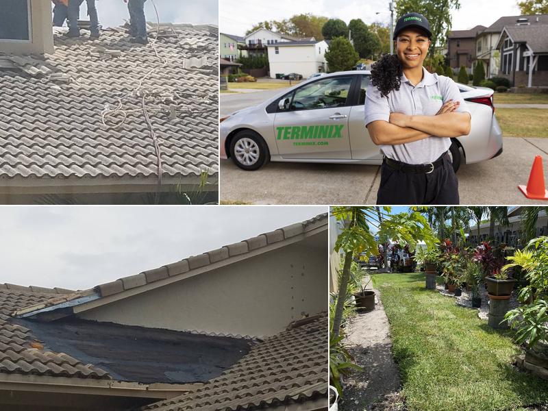 Terminix