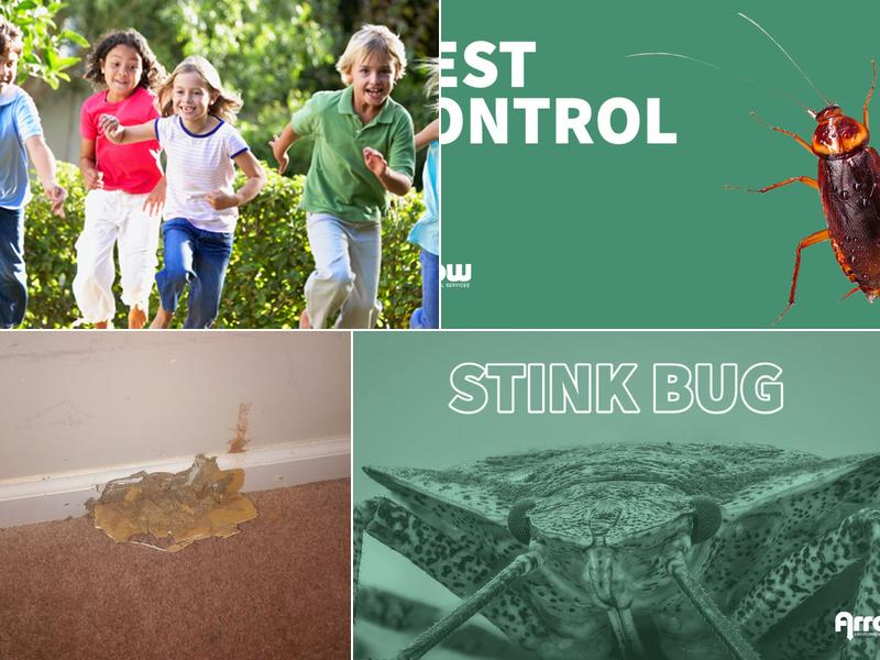 Arrow Environmental Services