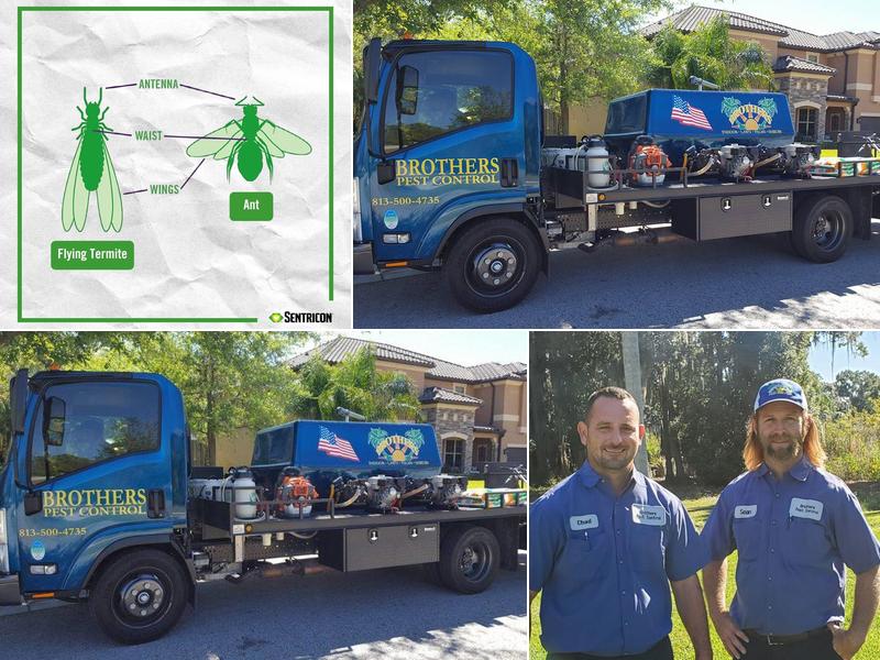 Brothers Pest Control
