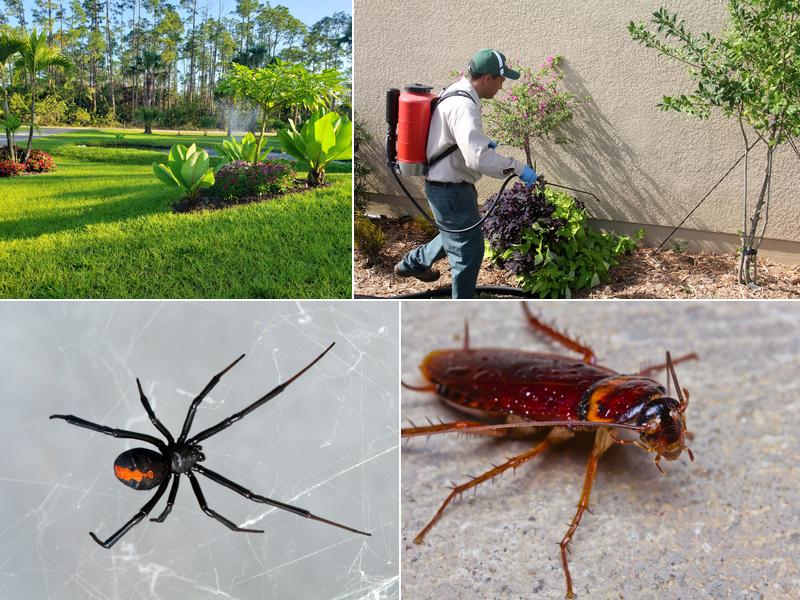 Arrow Environmental Services