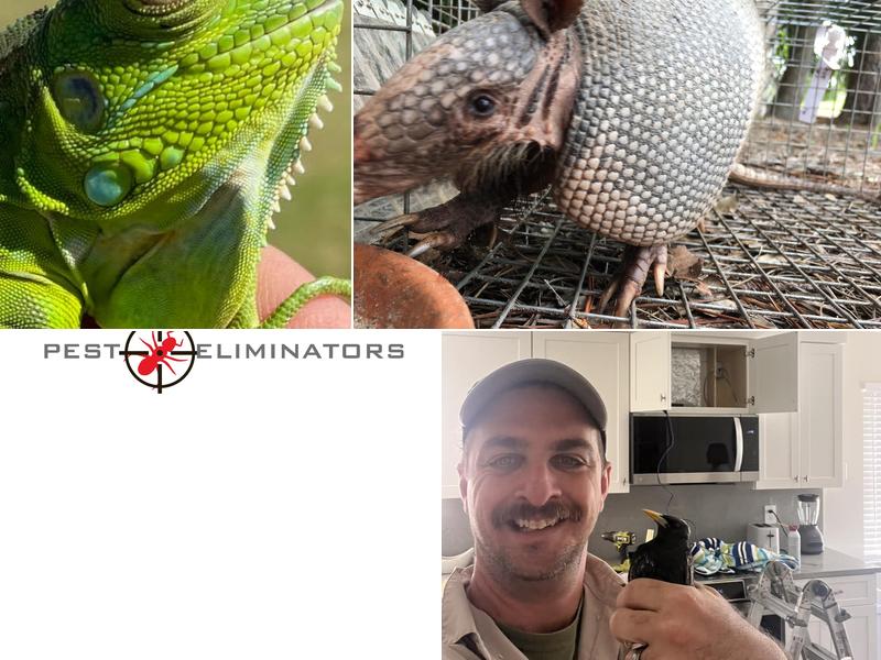 Antimidators Inc. Pest Control and Wildlife Removal