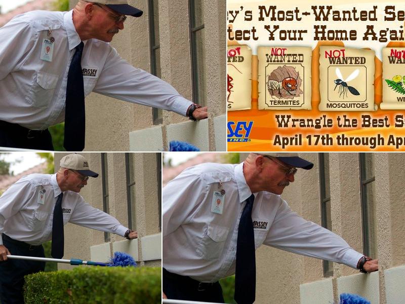 Massey Services Pest Control