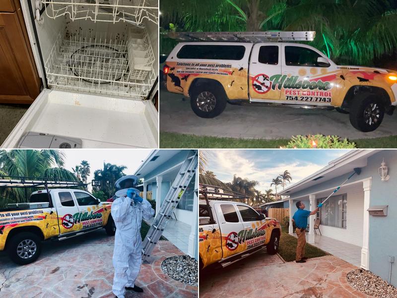 Hillsboro Pest Control