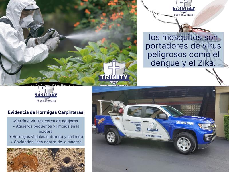 Trinity Pest Solutions