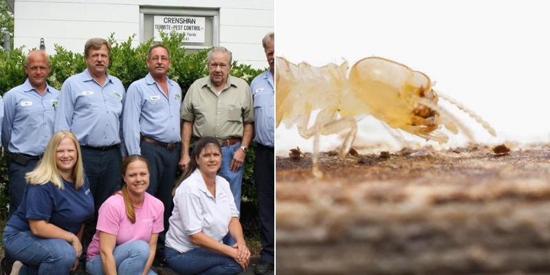 Crenshaw Termite & Pest Control