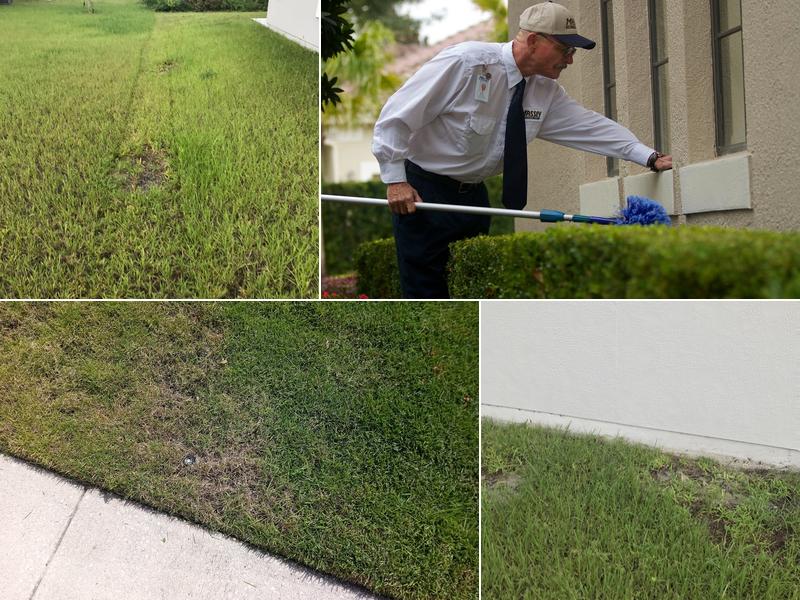 Massey Services Pest Control