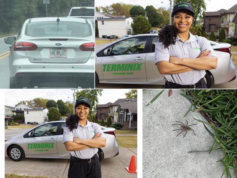 Terminix