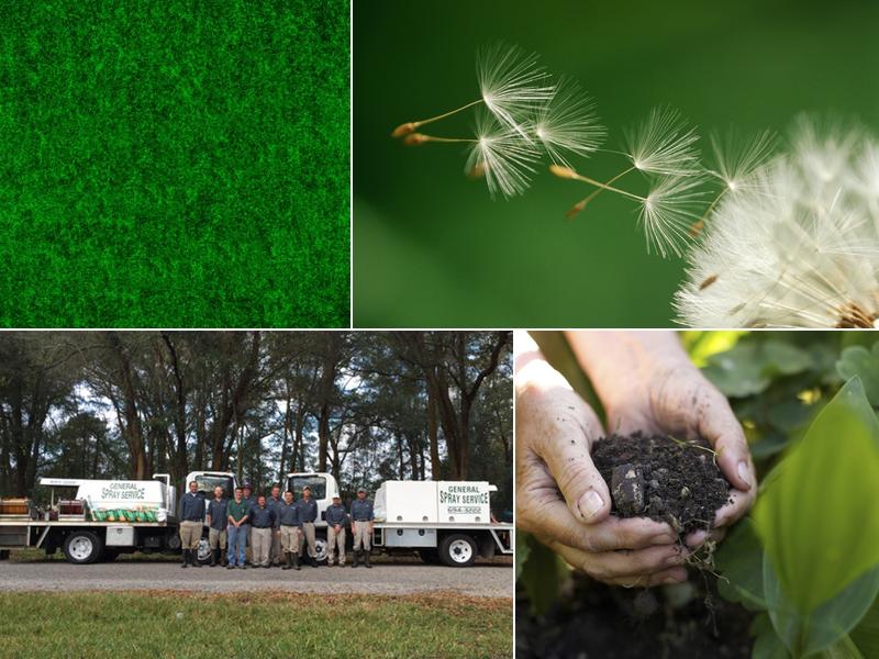 General Spray Service