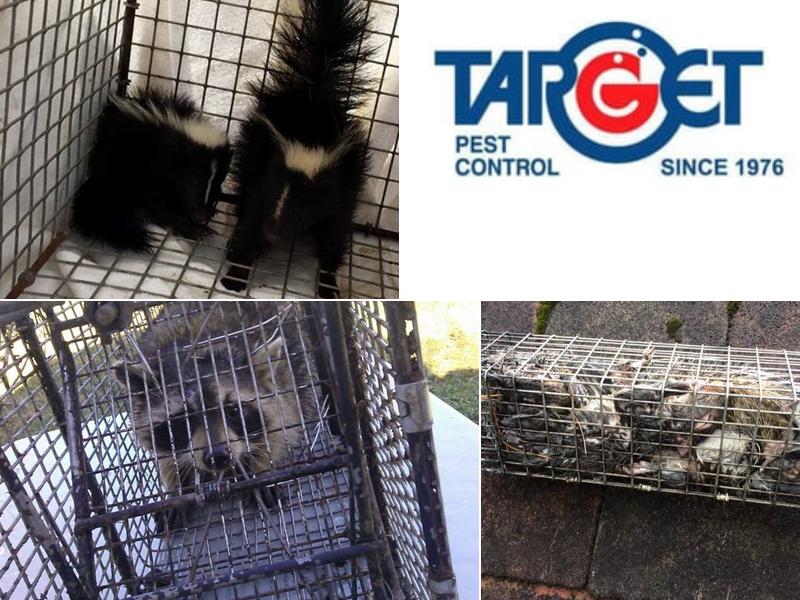 Target Pest Control