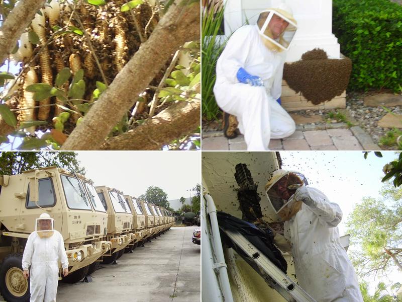 JDA Trappers and Bee Removal