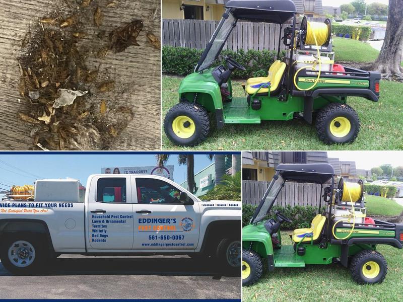 Eddinger's Pest Control