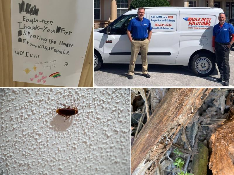 Eagle Pest Solutions