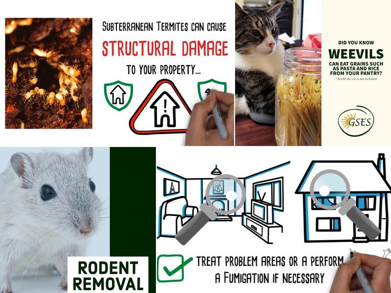 Great Southern Environmental Services, Inc.