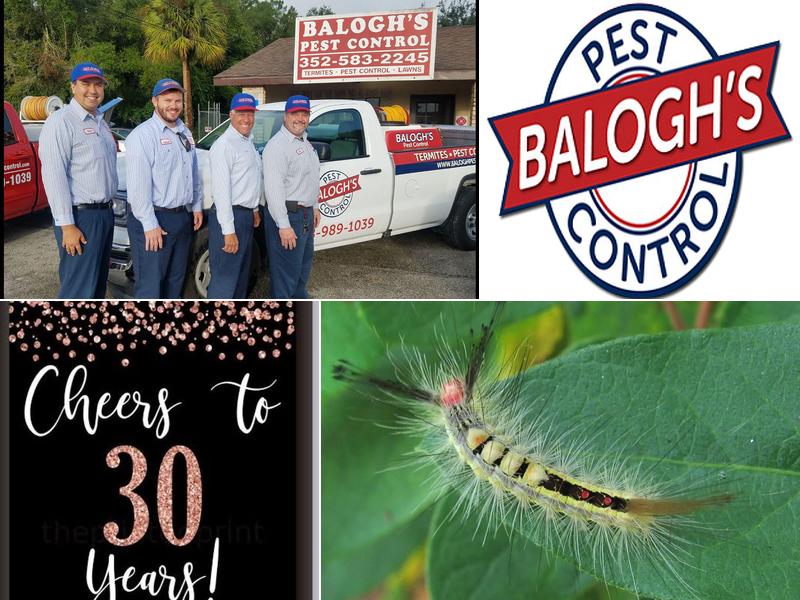 Balogh's Pest Control