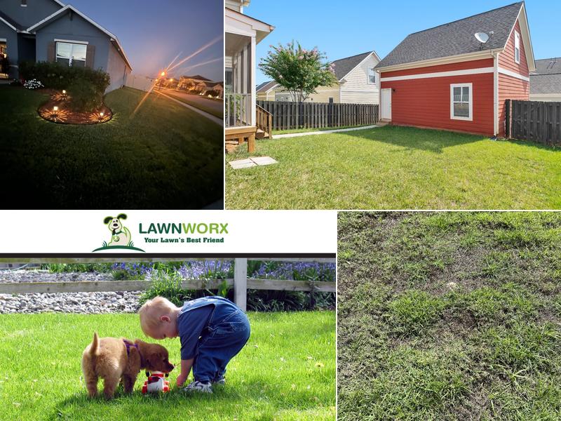 LawnWorx