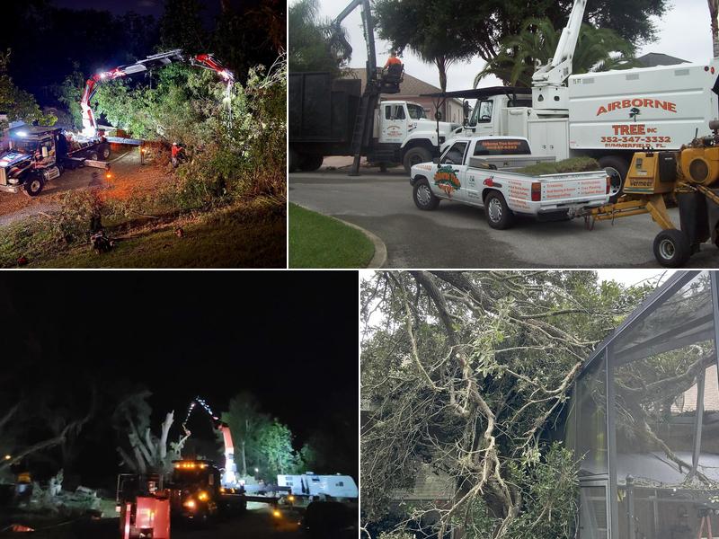 Airborne Tree Service