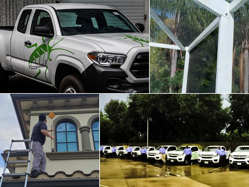 EcoShield Pest Solutions