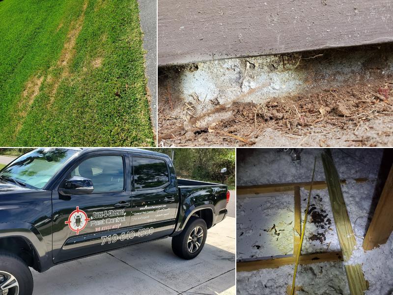 Over-A-Cheever Pest Control Inc