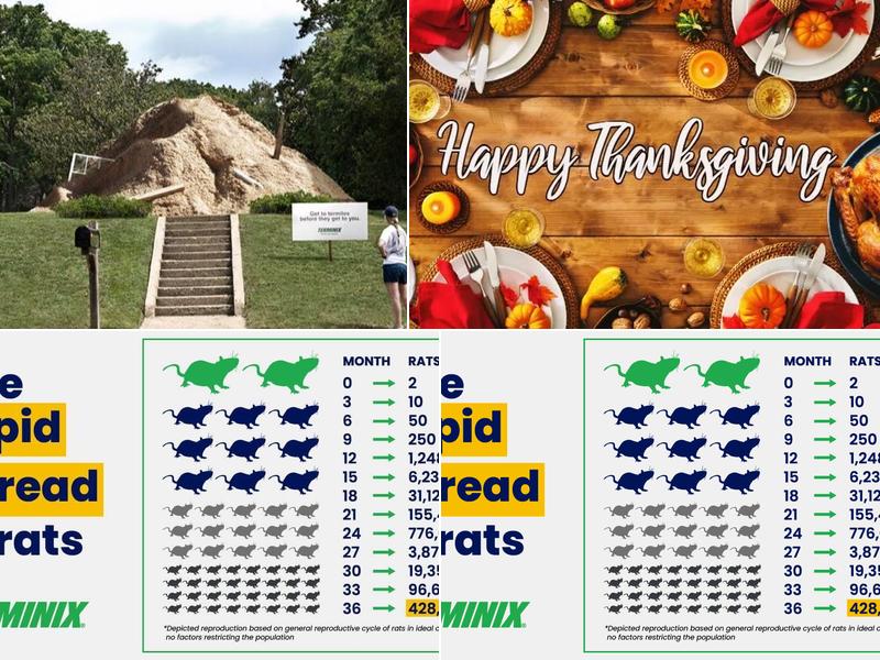 Younce Terminix, Inc