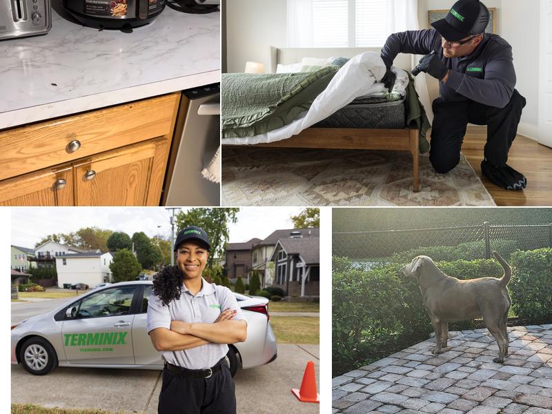 Terminix