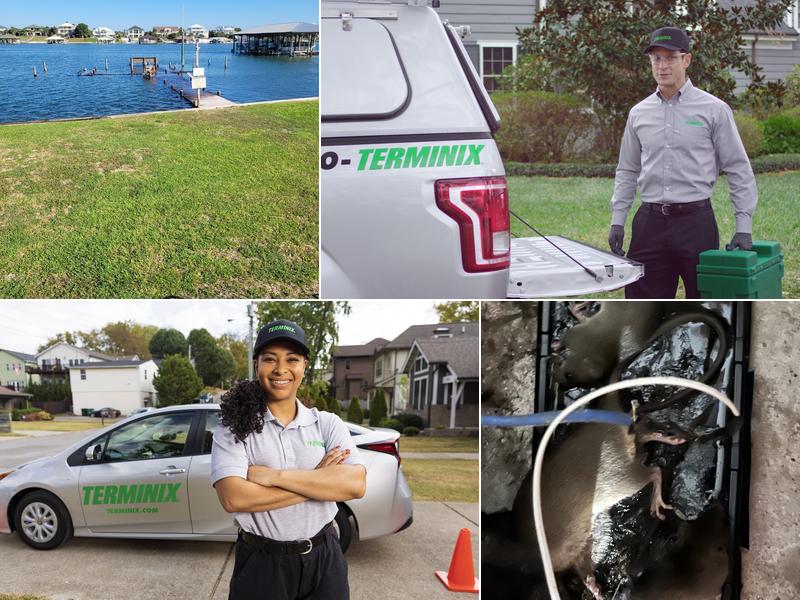 Terminix