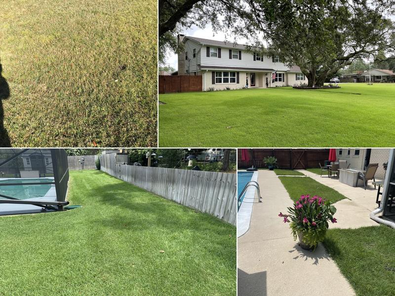 Father And Son Pest and Lawn Solutions