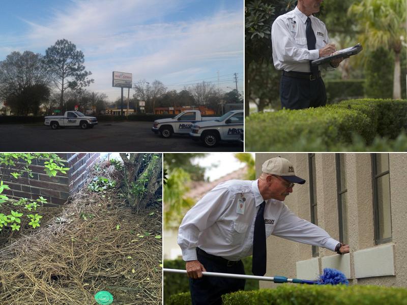 Massey Services Pest Control