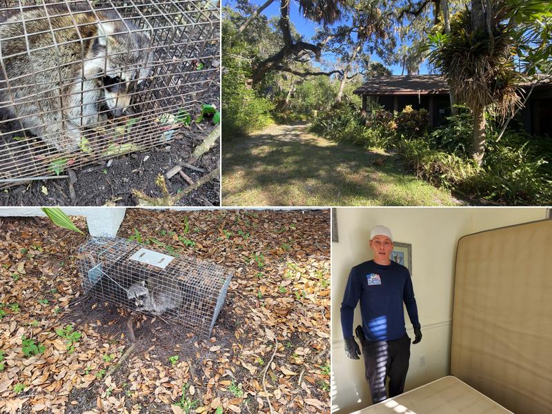 Al Harris Pest Control