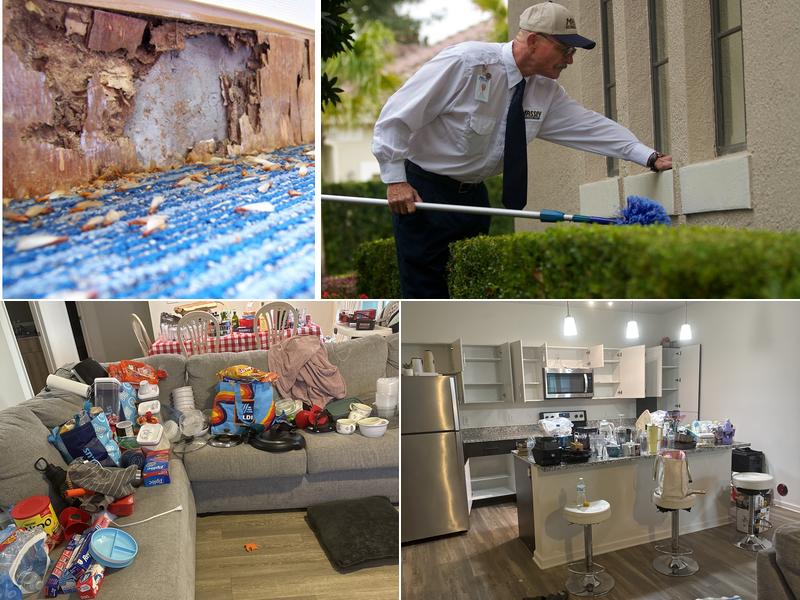 Massey Services Pest Control