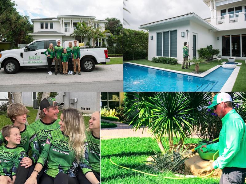 Buggify Pest Solutions