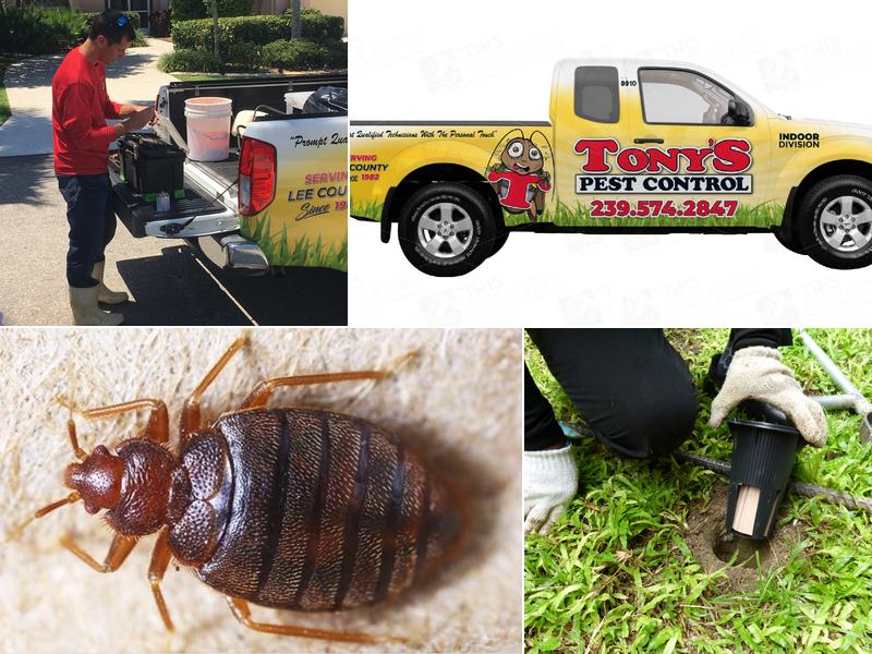 Tony's Pest Control Inc