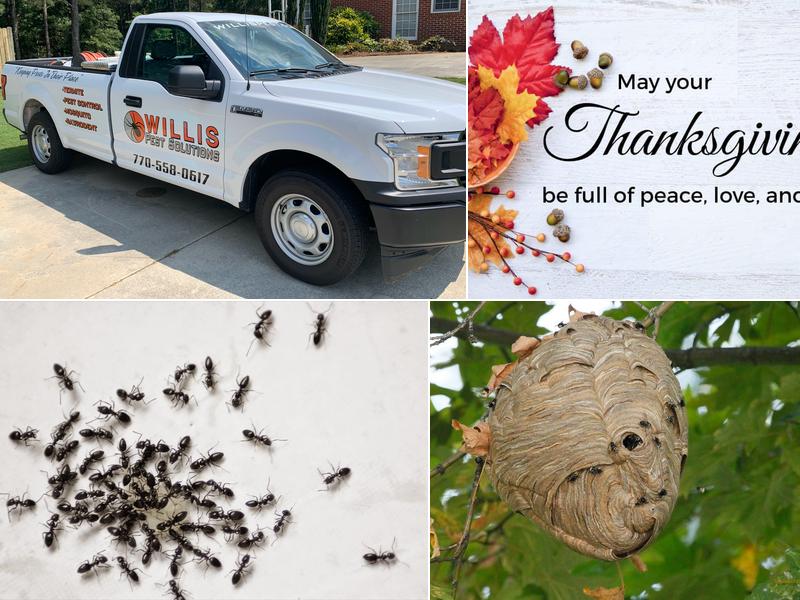 Willis Pest Solutions, LLC