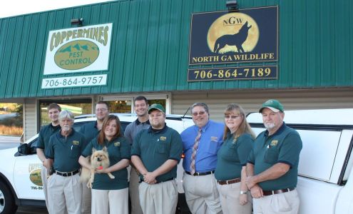 Coppermines Pest Control 6710 Highway 52 East, Murrayville Georgia 30564