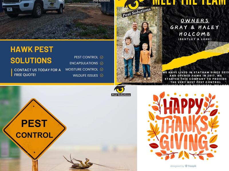 Hawk Pest Solutions