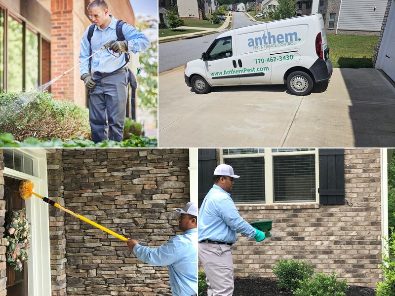 Anthem Pest Control