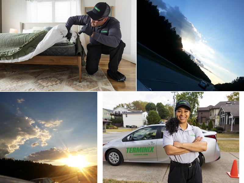 Terminix